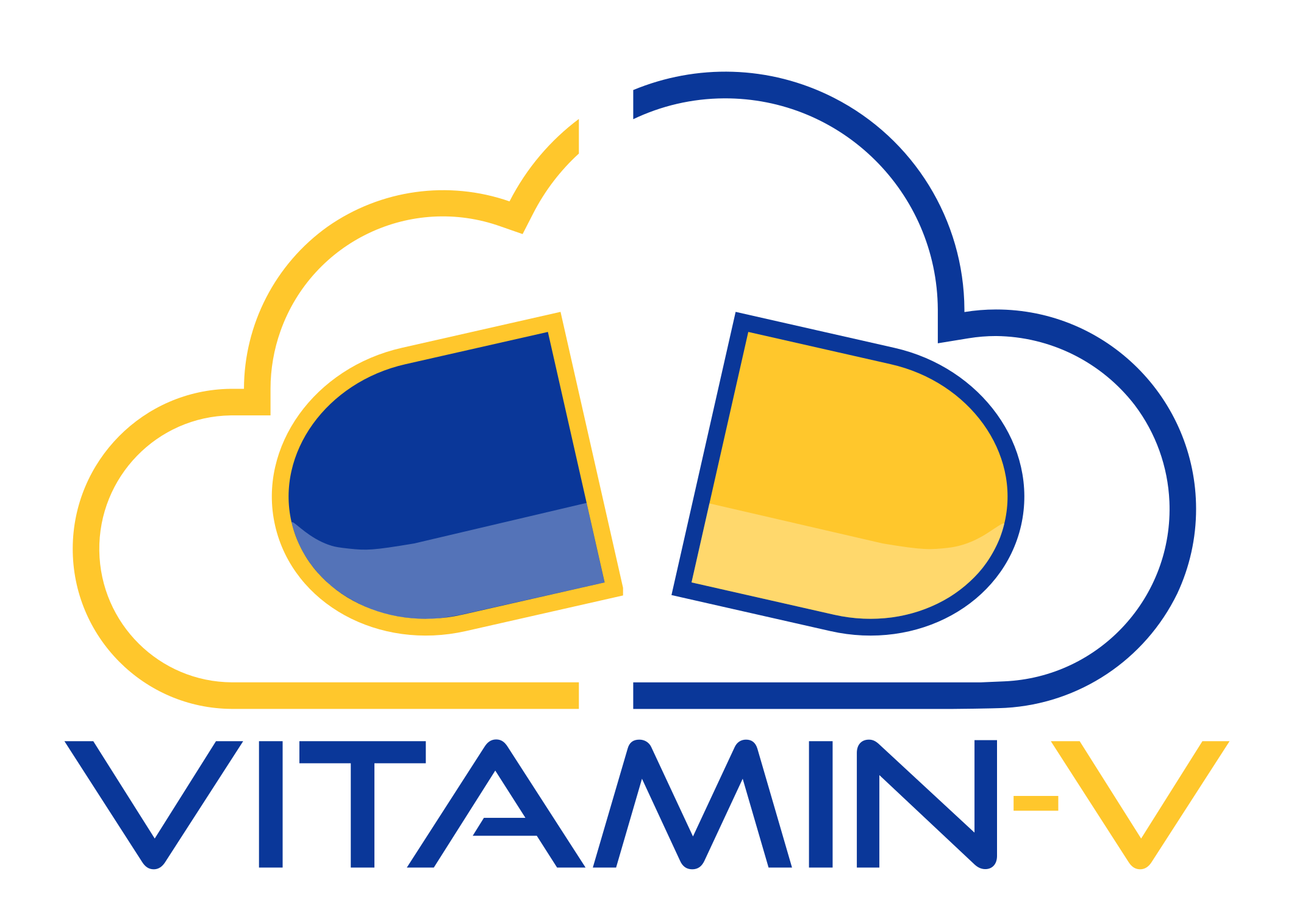 Le projet Vitamin-V Horizon Europe a pour ambition de jeter les bases du cloud européen basé sur RISC-V
